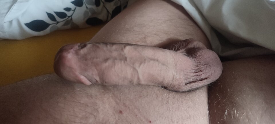 IMG_20220524_060403.jpg - bi79bi