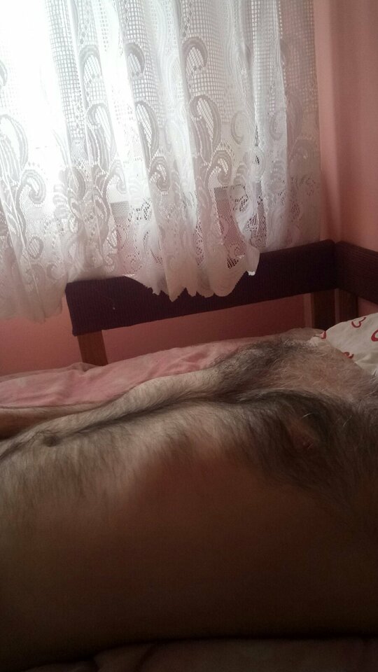 IMG-0d7cd4bde3cd28266e35fc4ef1ed0e23-V.jpg - rus84