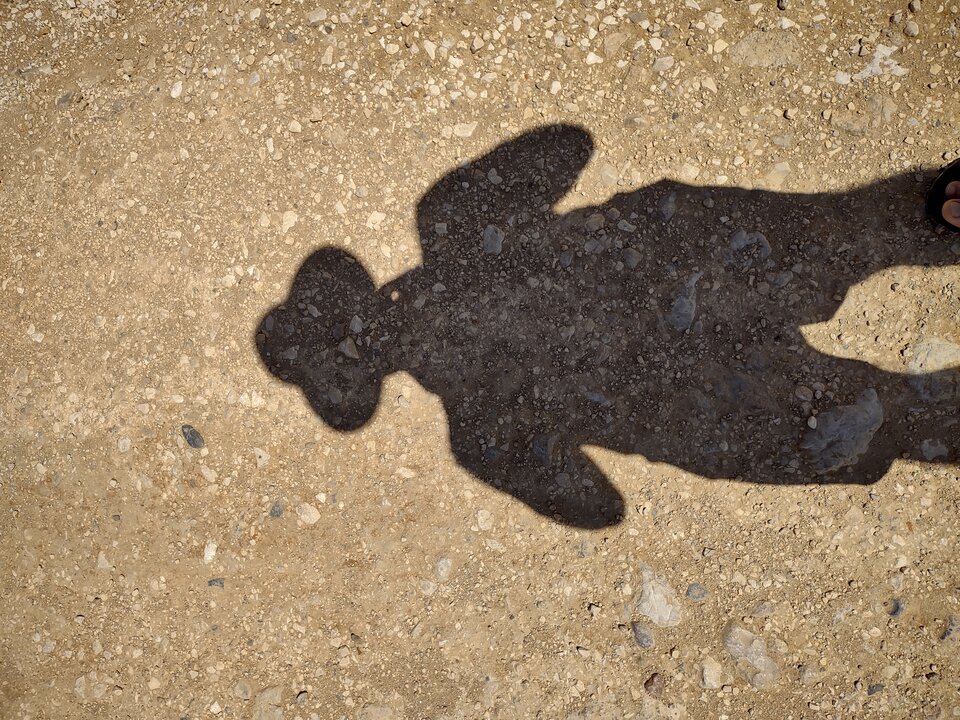 IMG_20220518_155104257_HDR.jpg - RocketRacoon123