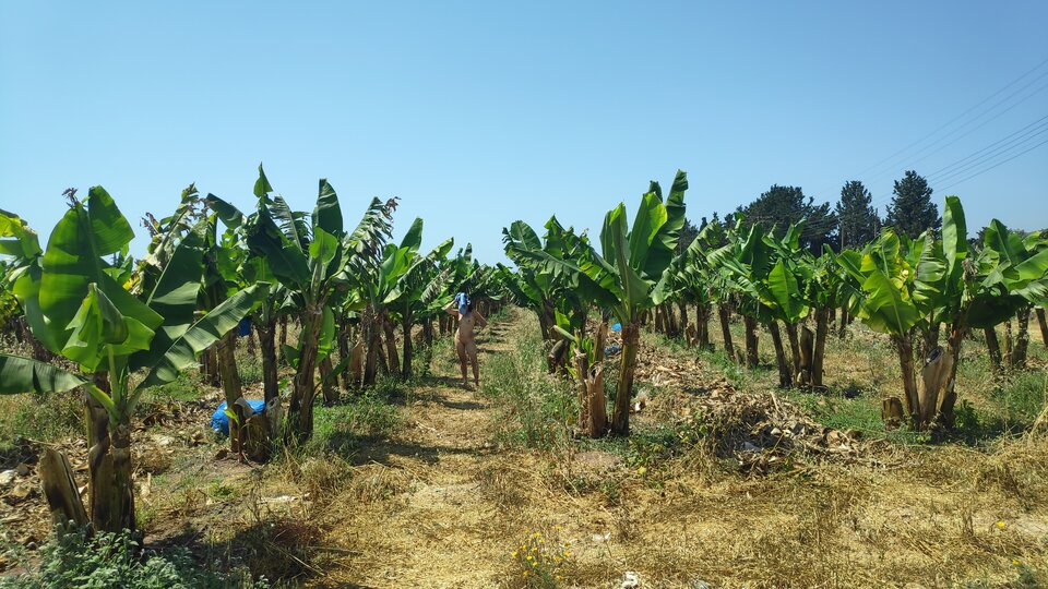 IMG_20220524_142949.jpg - Rozerotyzowanikrk