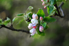 IMG_2995.JPG