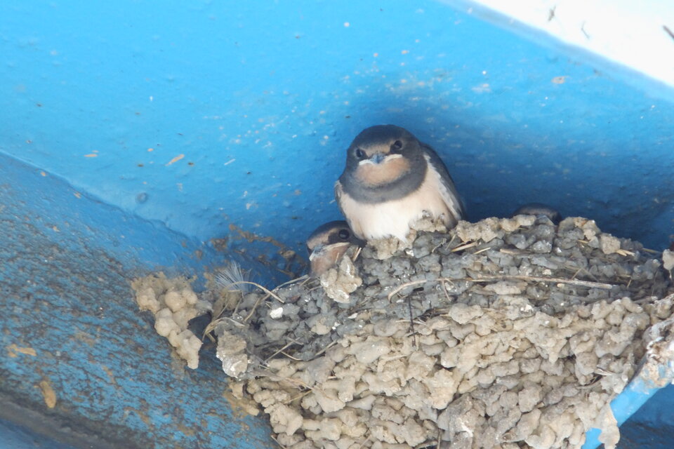 IMG_2019.JPG - ciekawy62