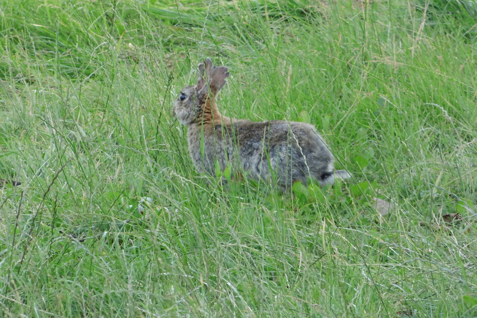 IMG_2027.JPG - ciekawy62