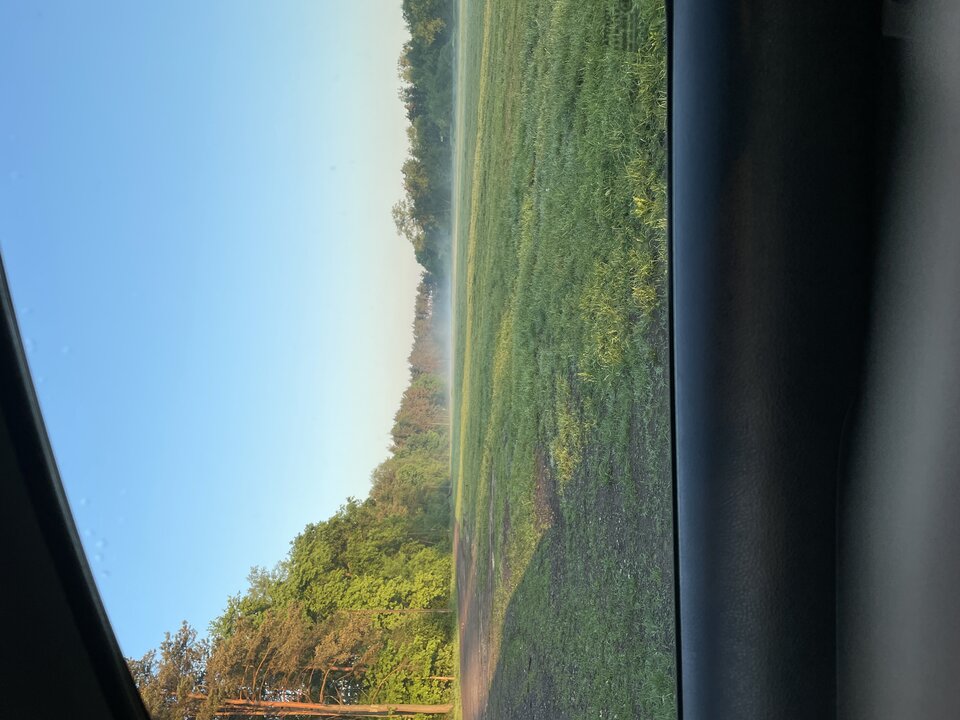 image.jpg - adams2000