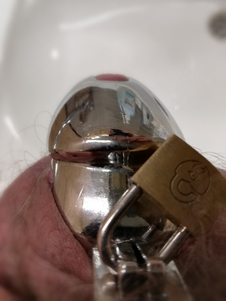 W oczekiwaniu  - Szejtan666