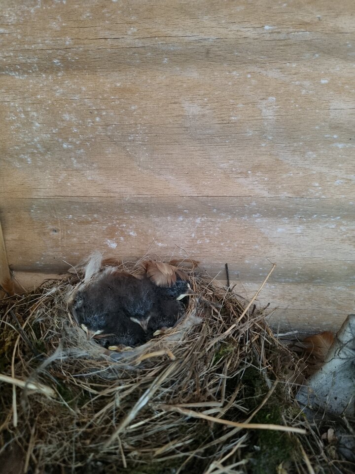 20220526_103526.jpg - ciekawy62