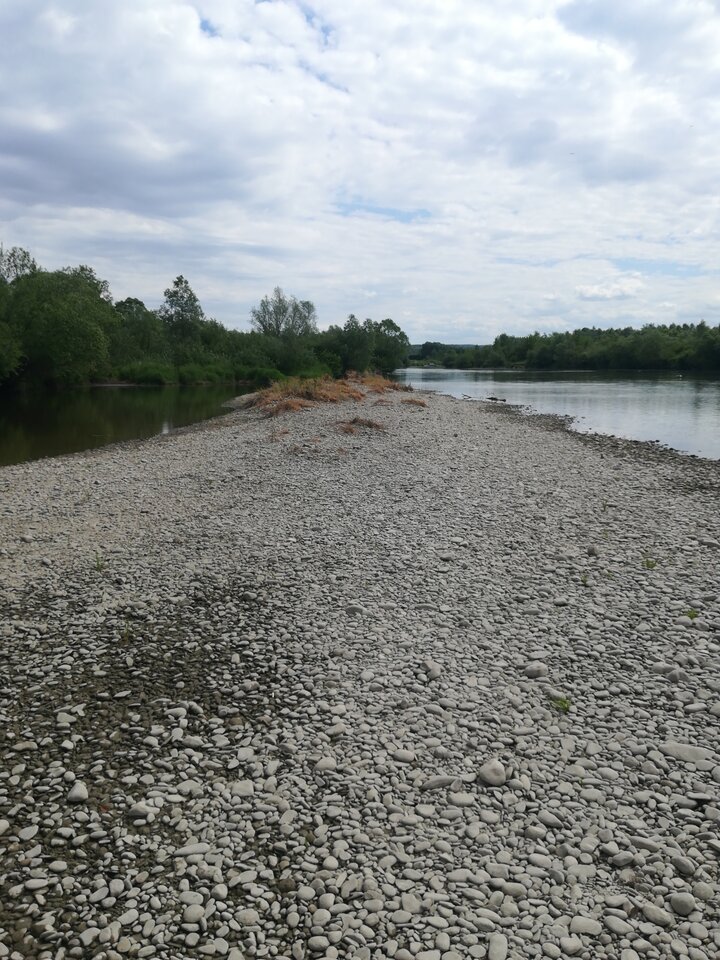 16535675379624698046180809344207.jpg - wojtek198228