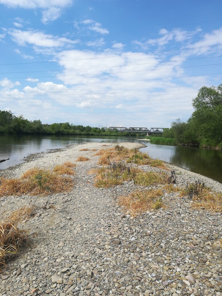 16535675826007722928231931259762.jpg - wojtek198228