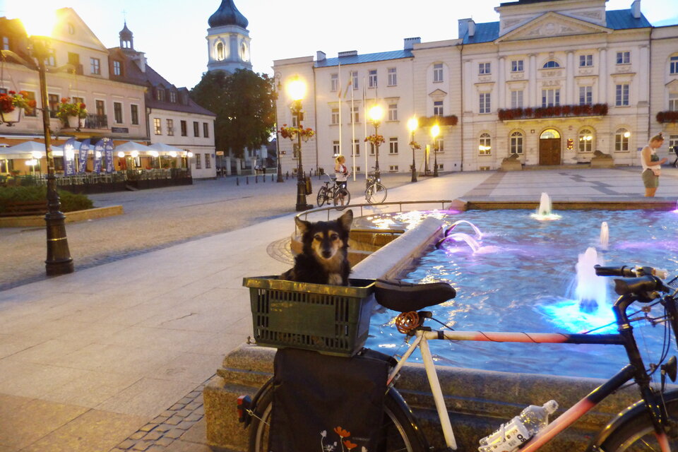 IMG_2043.JPG - ciekawy62