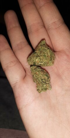 USER_SCOPED_TEMP_DATA_MSGR_PHOTO_FOR_UPLOAD_1653590297799_693566