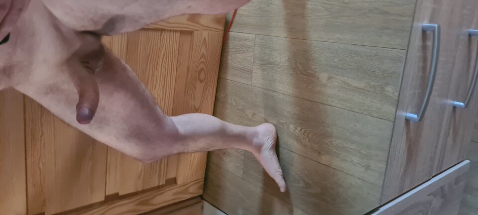 16536354475355629755473026591138.jpg - Marekbielskorealny