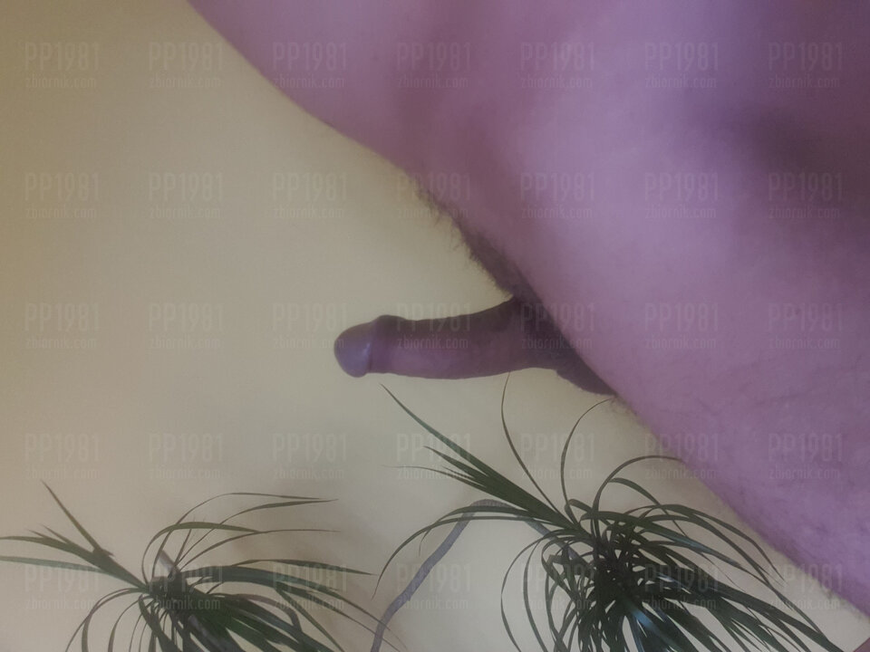 20220527_114128.jpg - pp1981