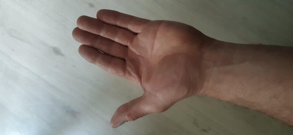 20220527_153901.jpg - Tomek421