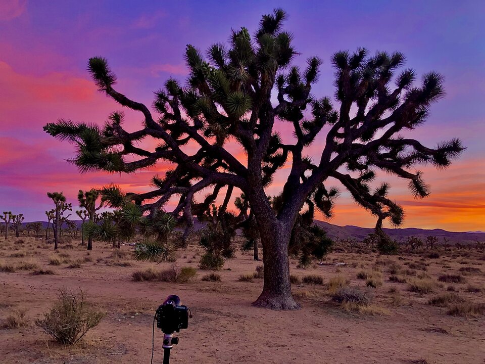 Kocham to co robię - milFuria