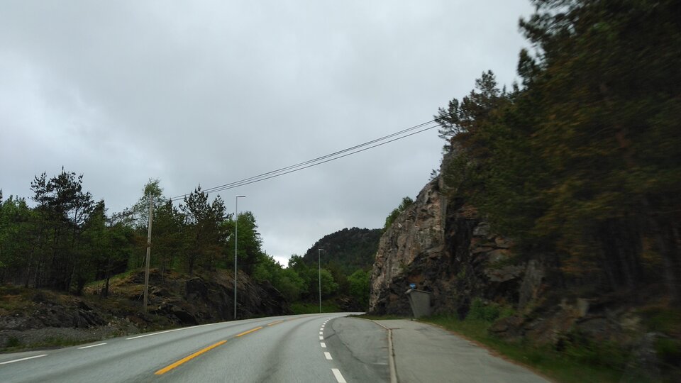 16537170477795877110550597707725.jpg - Palciusia