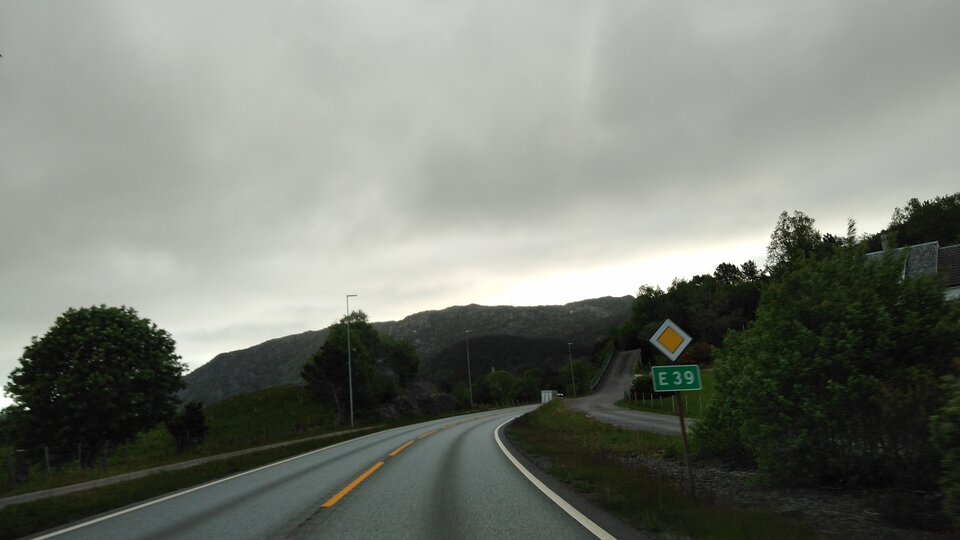 16537171145202307771970389405654.jpg - Palciusia