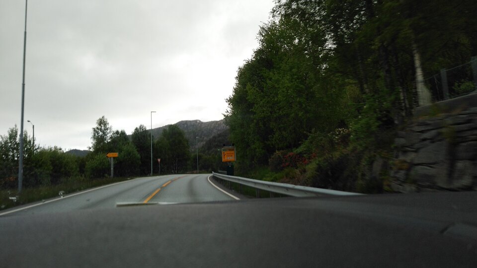 16537171967983251709903619866985.jpg - Palciusia