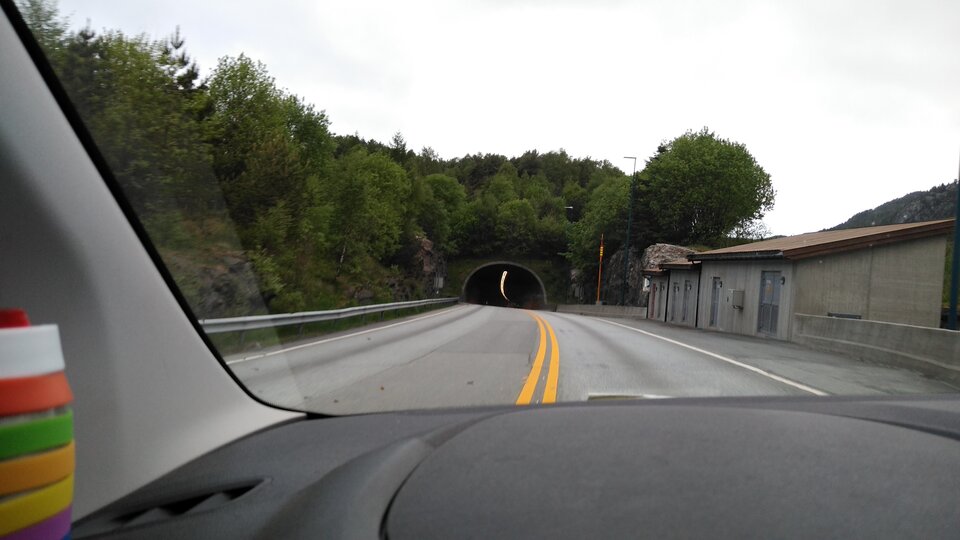 16537172319468934376577642420085.jpg - Palciusia