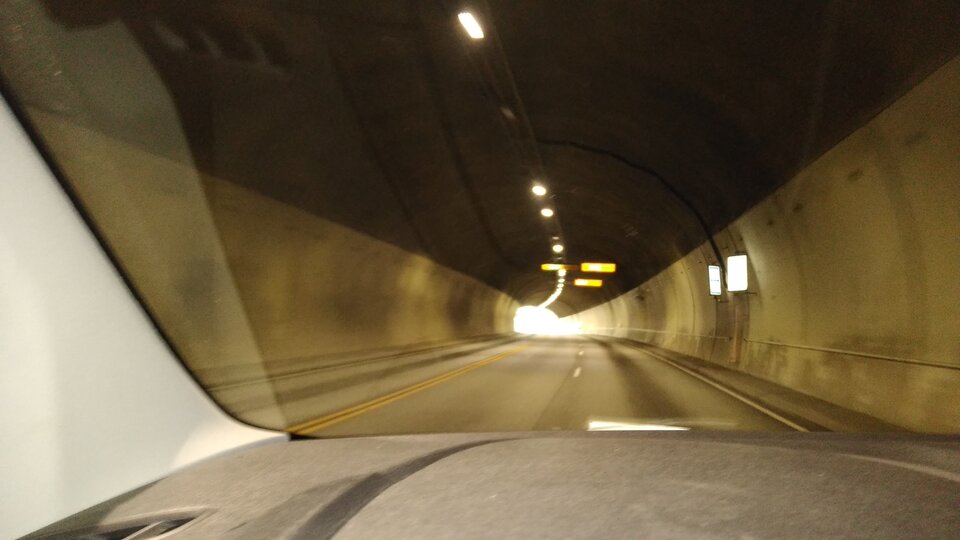 16537174801272157668883804597360.jpg - Palciusia