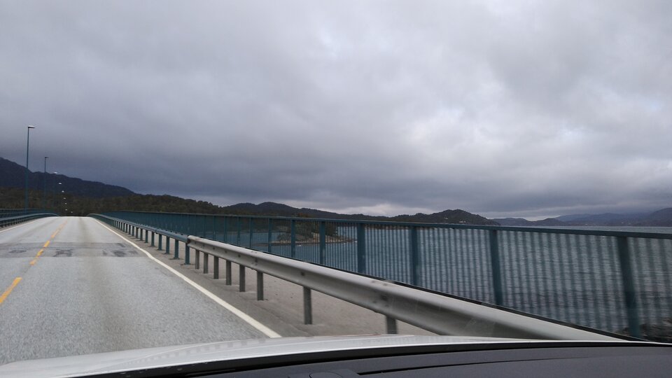 16537178052193592703909036797308.jpg - Palciusia