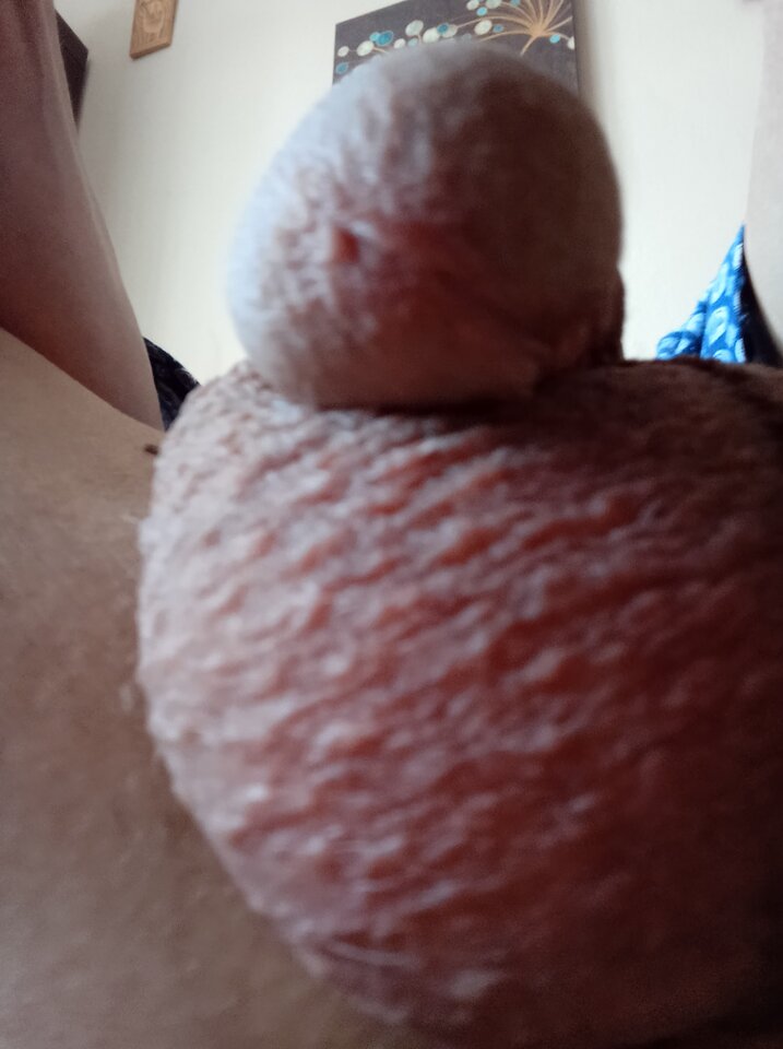 IMG_20220528_103525.jpg - 19Grzegorz55