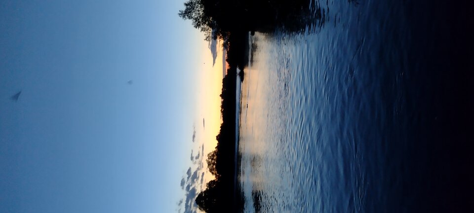 IMG_20220528_211255308.jpg - live321