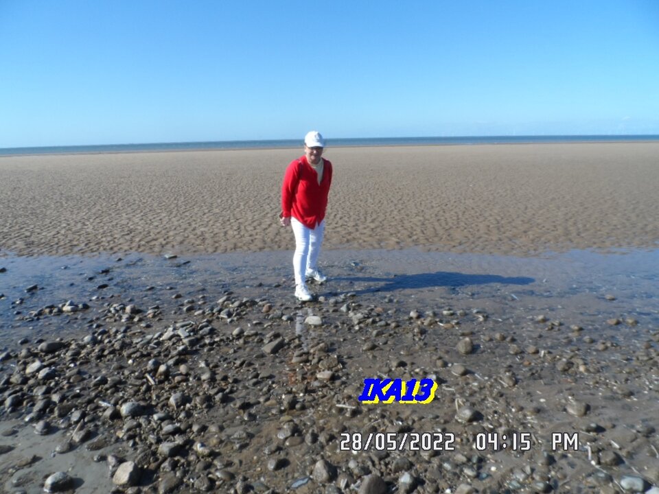 SAM_3948.JPG - ika13