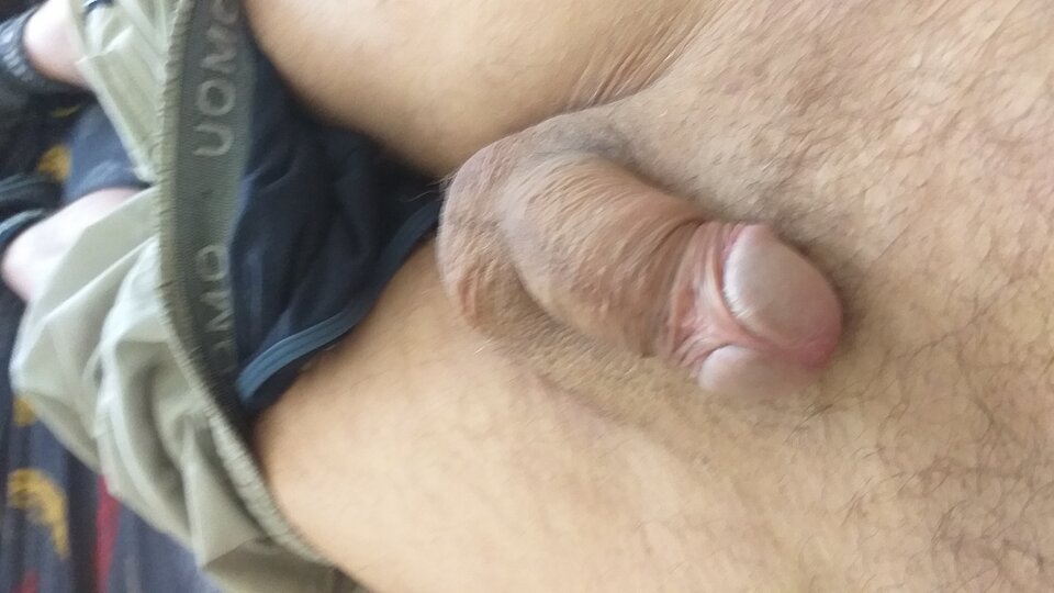 16538093483393420667544516943509.jpg - kakaja123