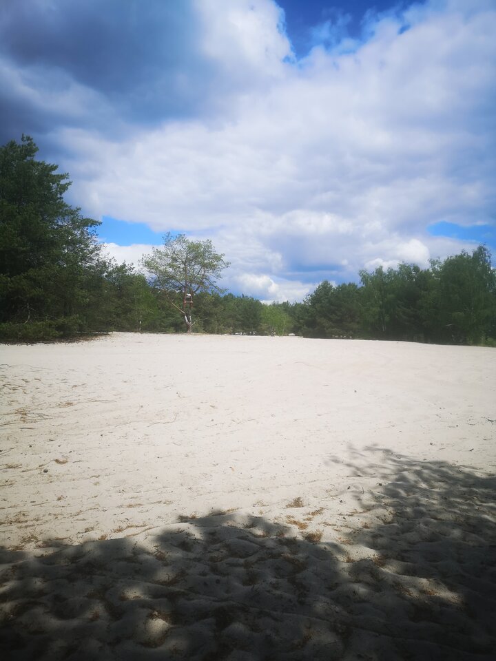 IMG_20220529_122358.jpg - josef1975