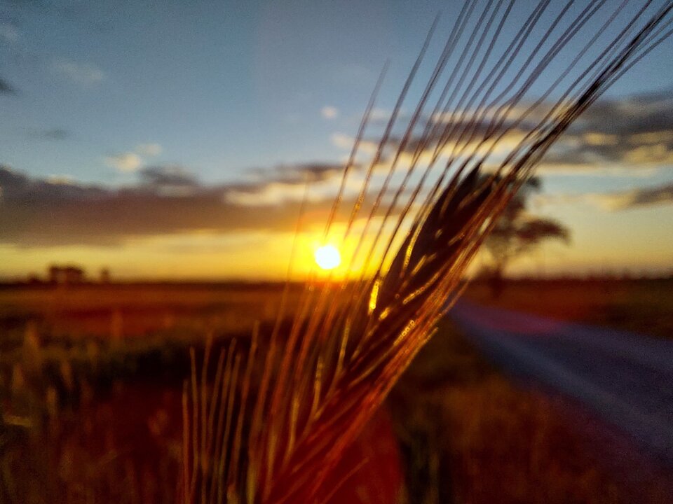 20220528_202230.jpg - Zaradny998