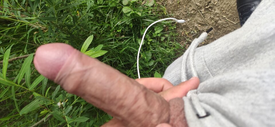 IMG_20220529_143346.jpg - Rozpustniczacy