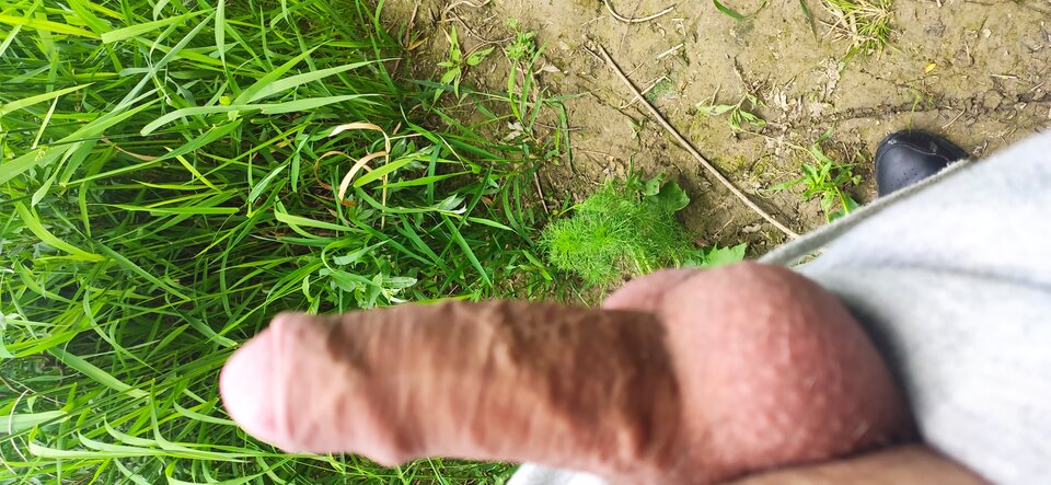 IMG_20220529_152124.jpg - Rozpustniczacy