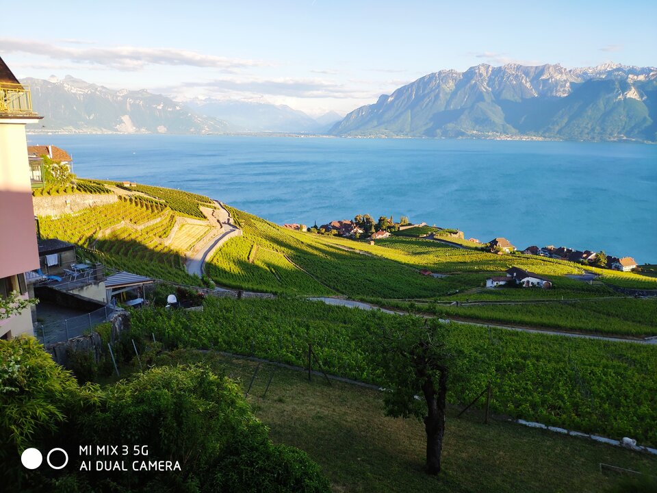 1653733505926.jpg - Evian1245890