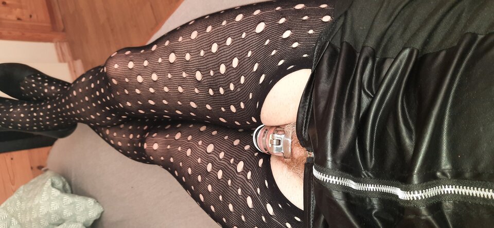 16538492682987393247799466415545.jpg - Palciusia