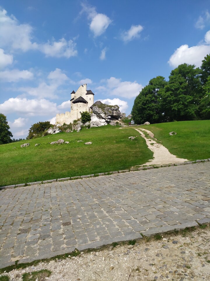 IMG_20210904_143345.jpg - Wstydliwi75