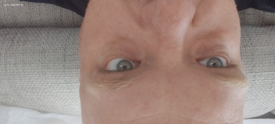 IMG_20220530_102737000_MP.jpg - zboj84