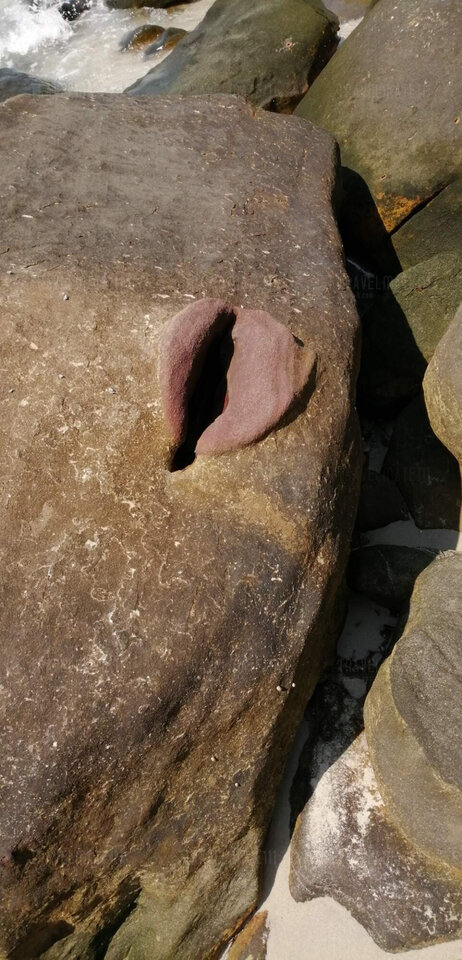 IMG_20200205_125500.jpg - travelmate111