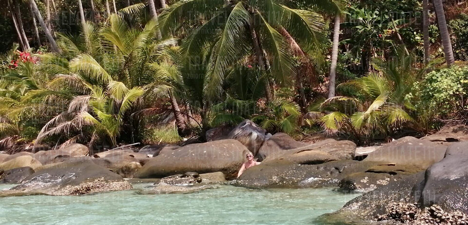 IMG_20200205_115513.jpg - travelmate111