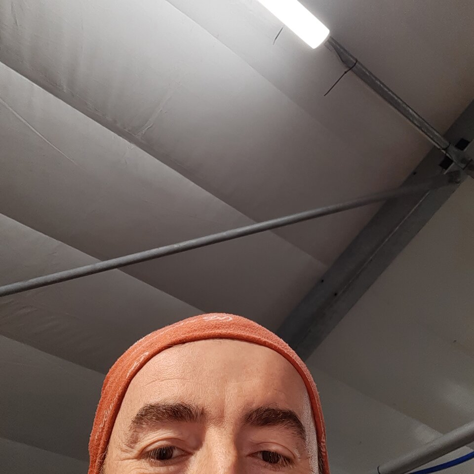 16539822591787288572644477637896.jpg - Palciusia