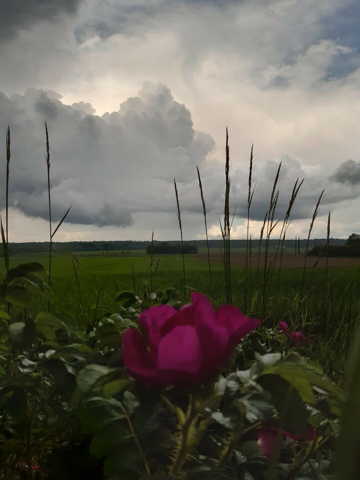 20220530_124554.jpg - torii99