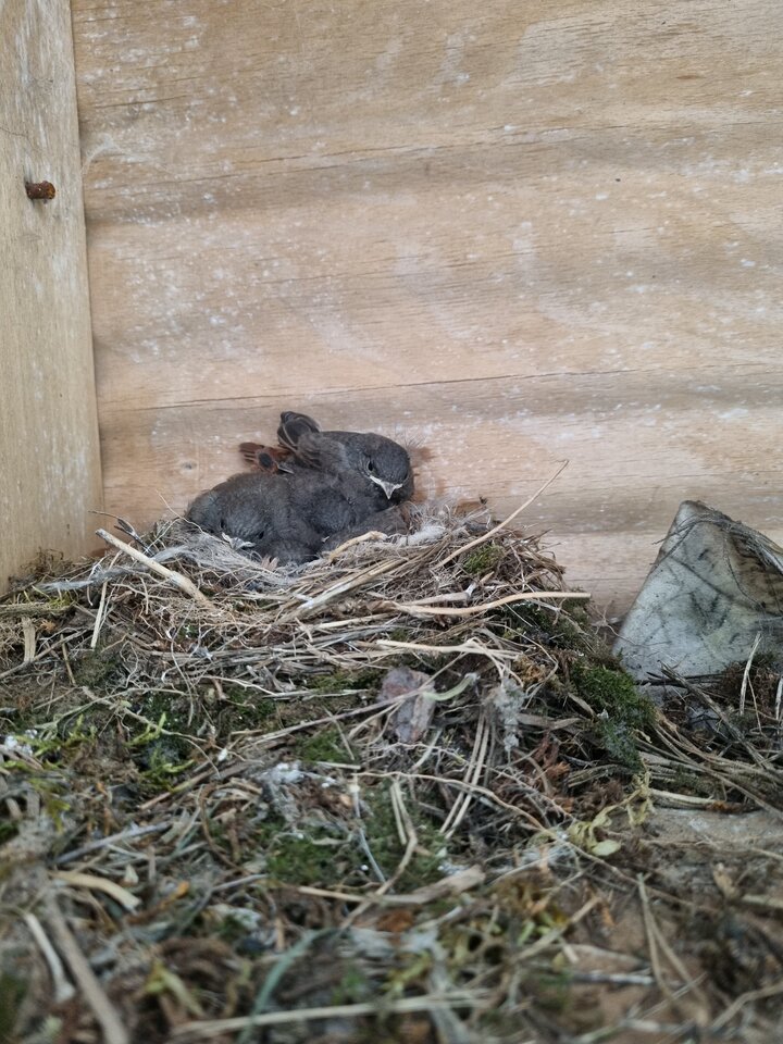 20220531_105628.jpg - ciekawy62