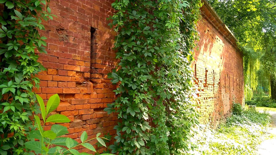 IMG-20220531 - wzwodnik1