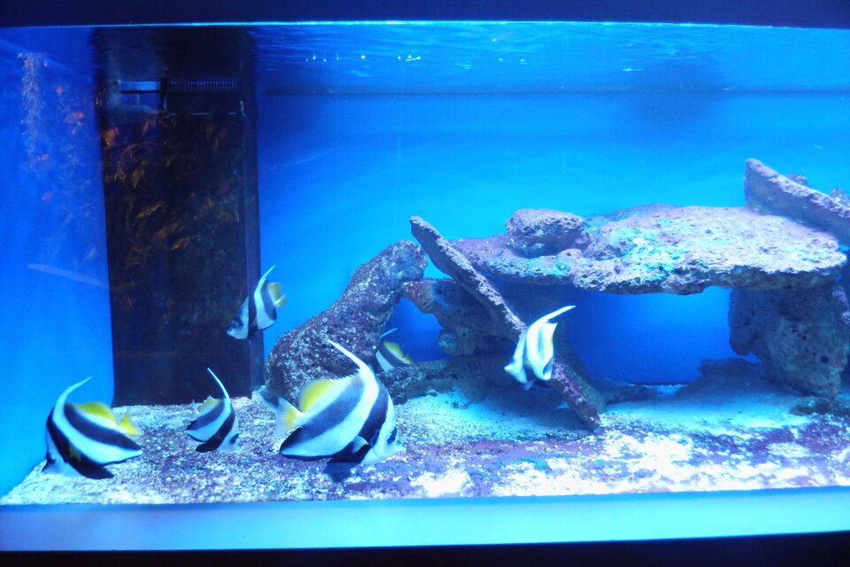 IMG_3777.JPG - ciekawy62