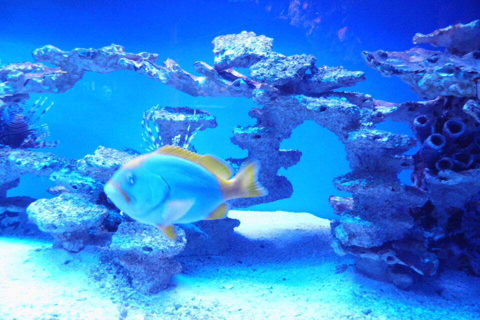 IMG_3779.JPG - ciekawy62