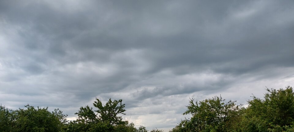 1654069457190177301345990331515.jpg - misiak37szcz