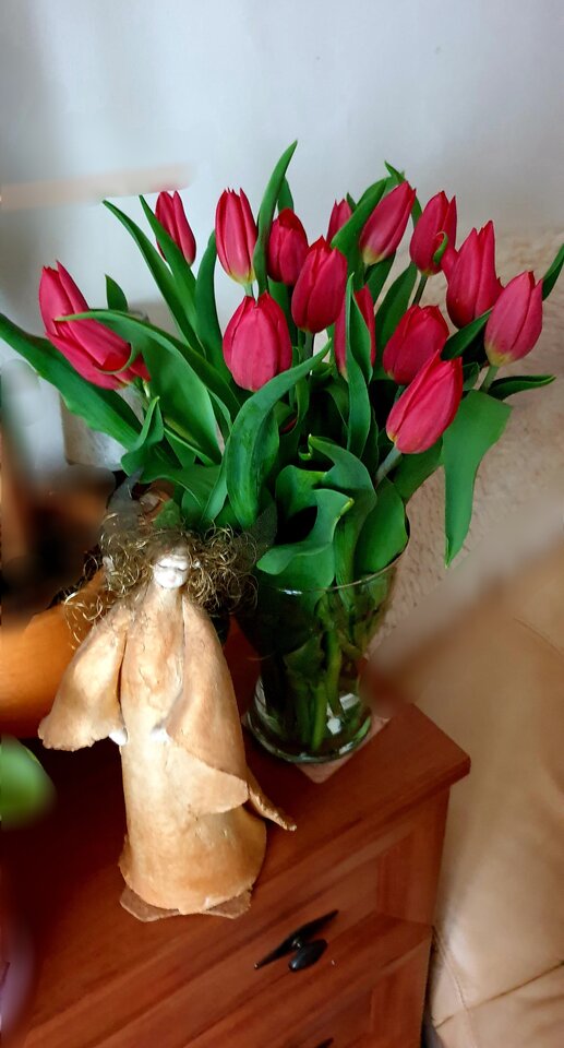 20220601_124006.jpg - Sh_e