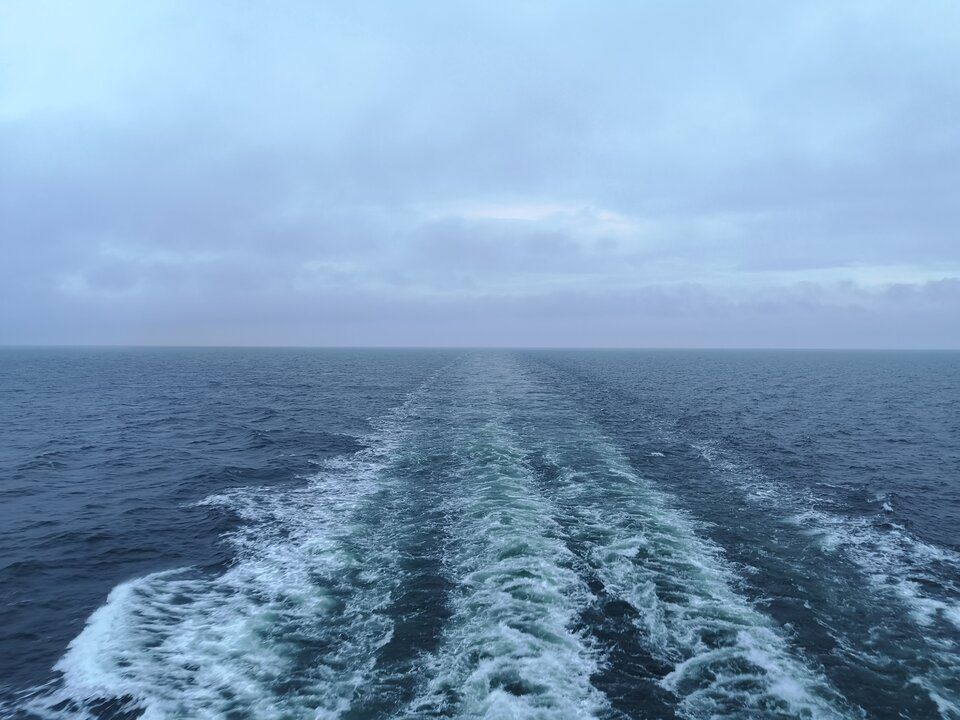 IMG_20220601_205444.jpg - SquirtTeacher