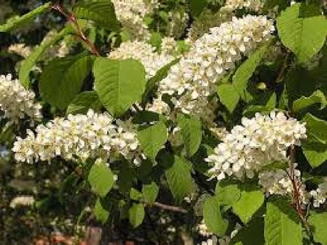 Dotyk_690