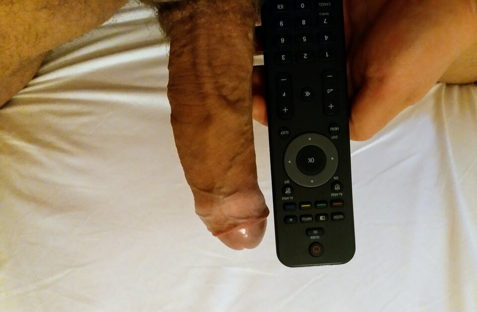 Czy leci z nami pilot? - Beecurious