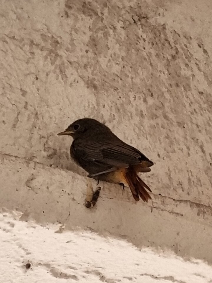 20220602_112836.jpg - ciekawy62